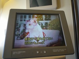f:id:usagi71-mu:20090306233201j:image