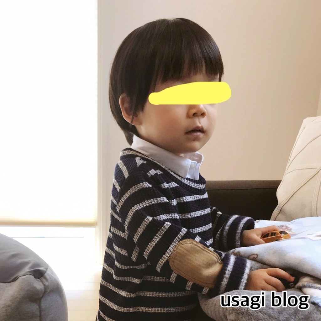 f:id:usagi_k:20190311140441j:plain f:id:usagi_k:20190311140441j:plain