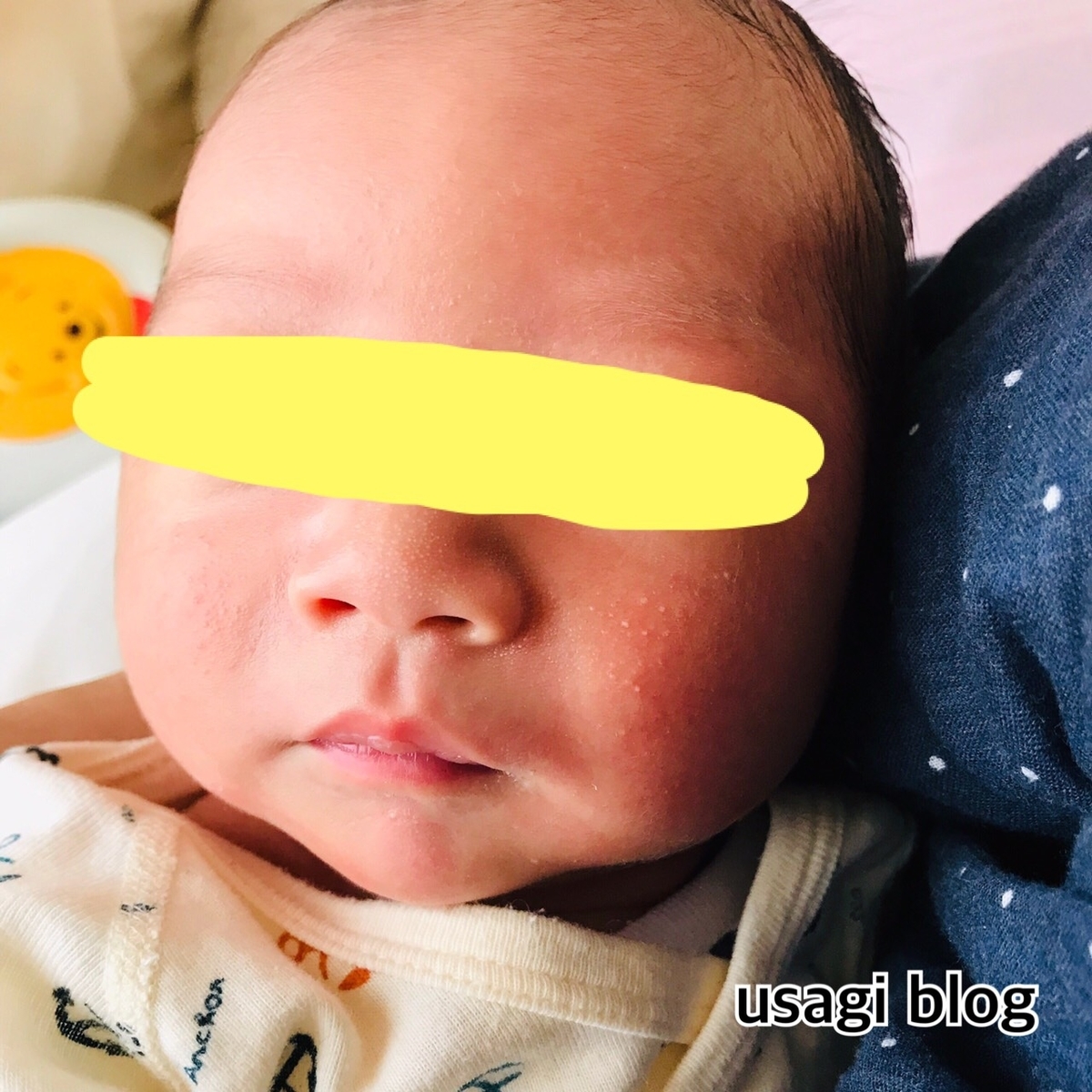 f:id:usagi_k:20190611103732j:plain f:id:usagi_k:20190611103732j:plain