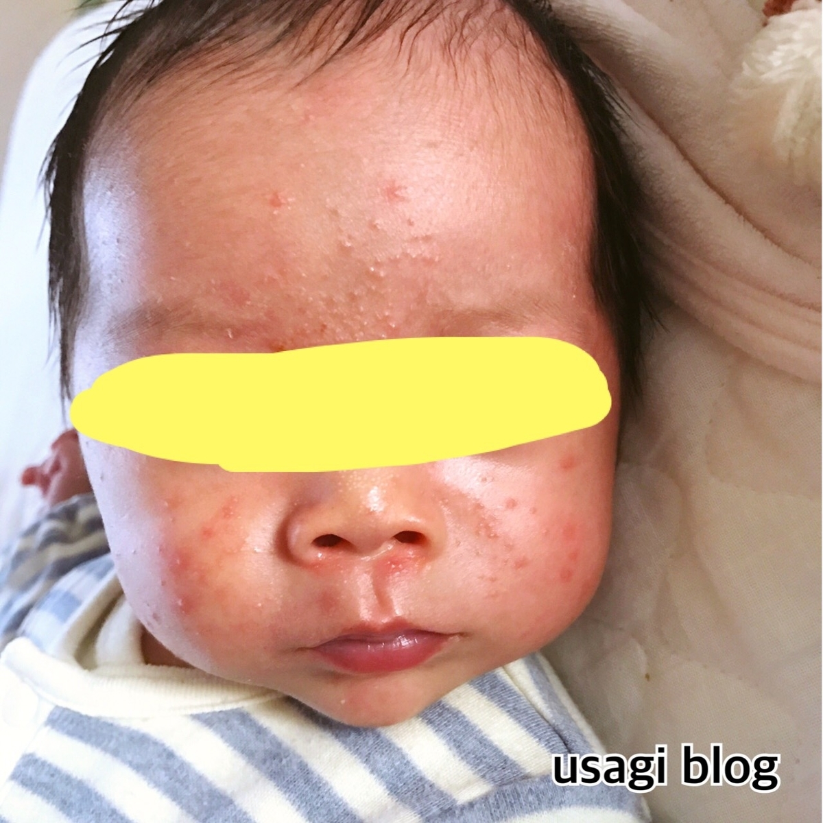 f:id:usagi_k:20190611103736j:plain f:id:usagi_k:20190611103736j:plain