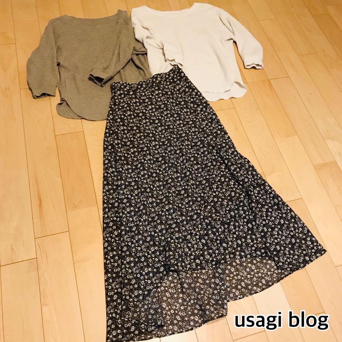 f:id:usagi_k:20190911125911j:plain f:id:usagi_k:20190911125911j:plain