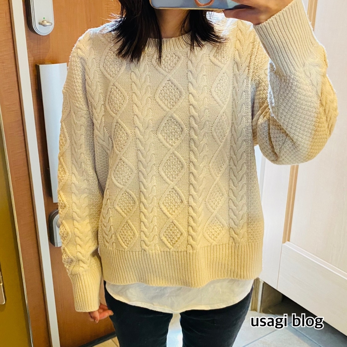 f:id:usagi_k:20201116112409j:plain f:id:usagi_k:20201116112409j:plain