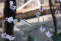 20100313105049