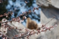 20100327133109