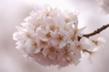 20100403103356