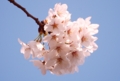 20100403150151