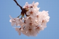 20100403150202