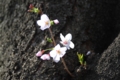 20100403150243