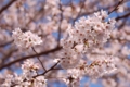 20100403150349