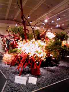 f:id:usagi_sun:20071108183624j:image
