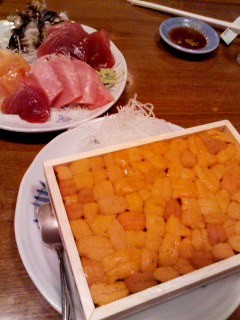 f:id:usagi_sun:20080531194556j:image
