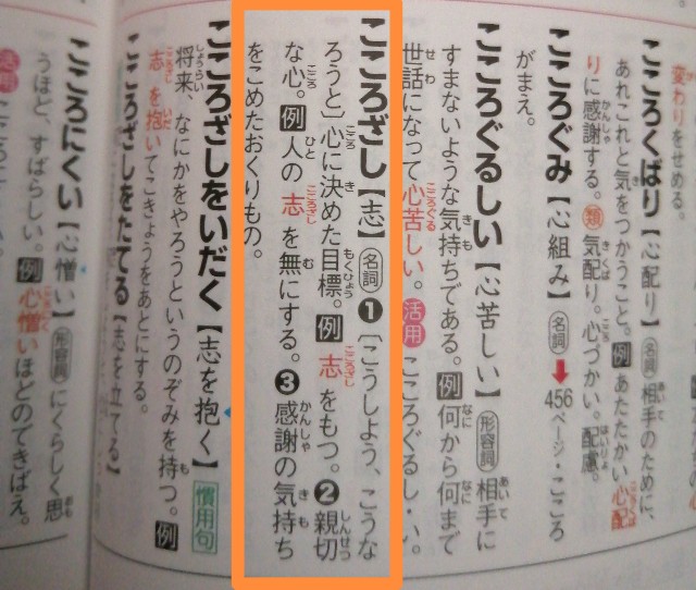 f:id:usagigasu:20240616140641j:image