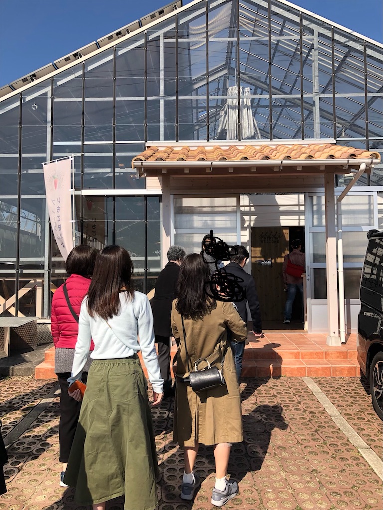 f:id:usagimama0309:20190310204815j:image