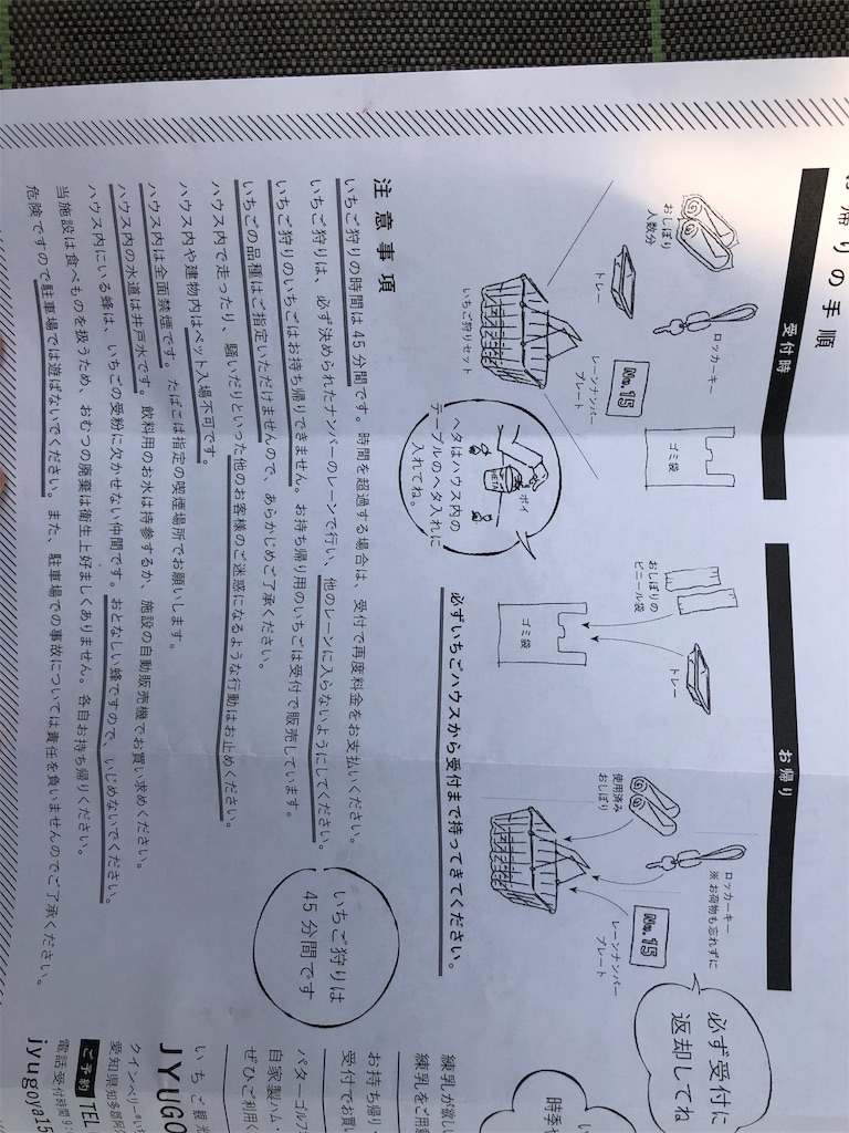 f:id:usagimama0309:20190310212628j:image