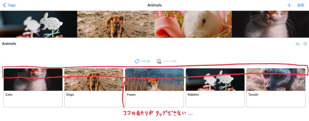f:id:usagin-box:20220206170052j:plain