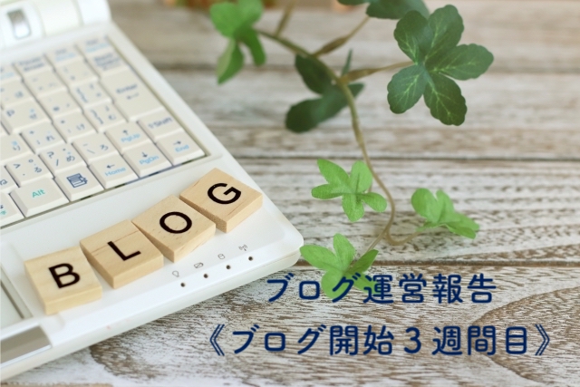 f:id:usagino-shippo:20181216005447j:plain f:id:usagino-shippo:20181216005447j:plain