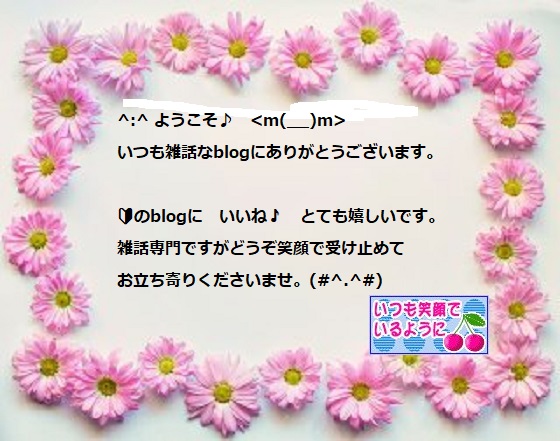 f:id:usagipoko:20190609091514j:plain
