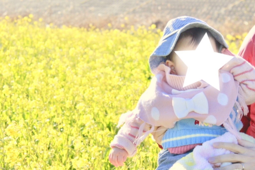 f:id:usagito:20180207184858j:plain f:id:usagito:20180207184858j:plain