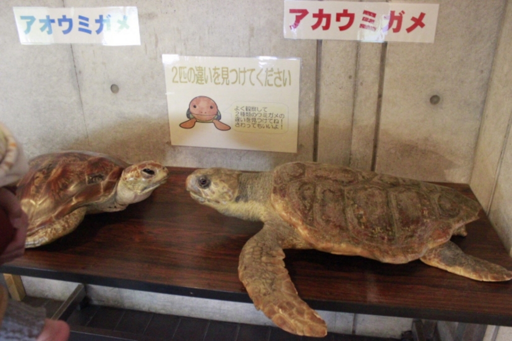 f:id:usagito:20180212094232j:plain f:id:usagito:20180212094232j:plain