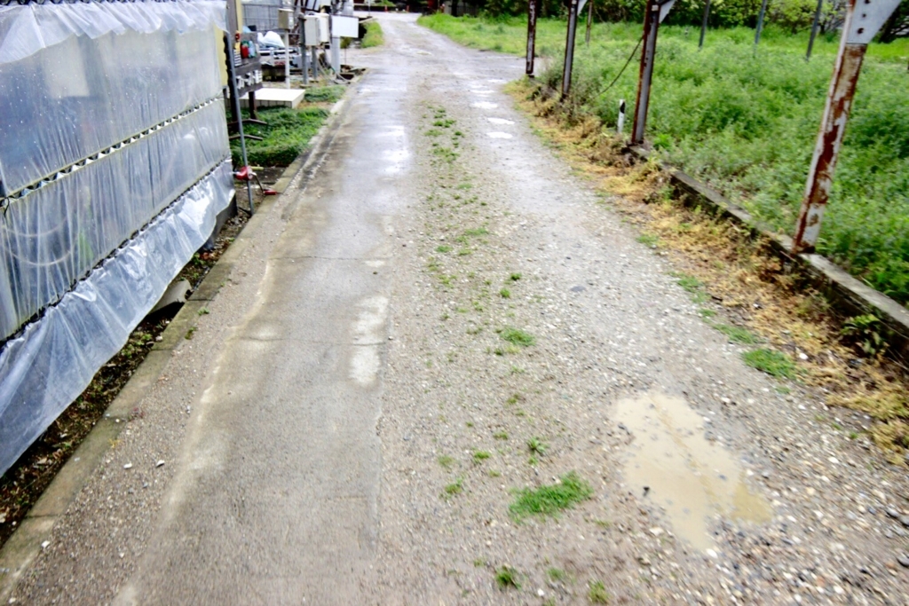f:id:usagito:20180416151942j:plain f:id:usagito:20180416151942j:plain