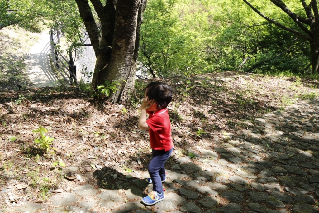 f:id:usagito:20180501041746j:plain f:id:usagito:20180501041746j:plain