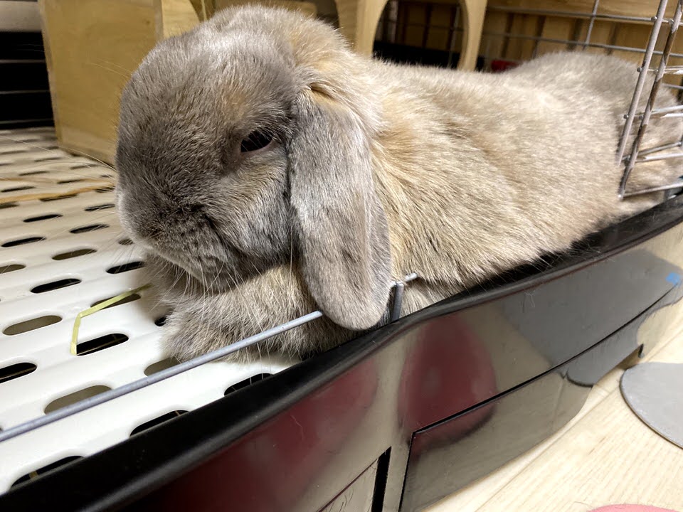 うっ滞に気づいた時のつきの症状