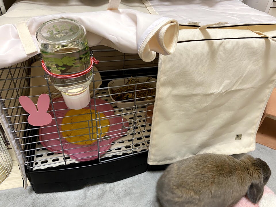 うさぎのつきに、ケージカバーを買いました - たれみみ日和