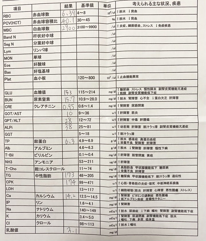 血液検査の結果