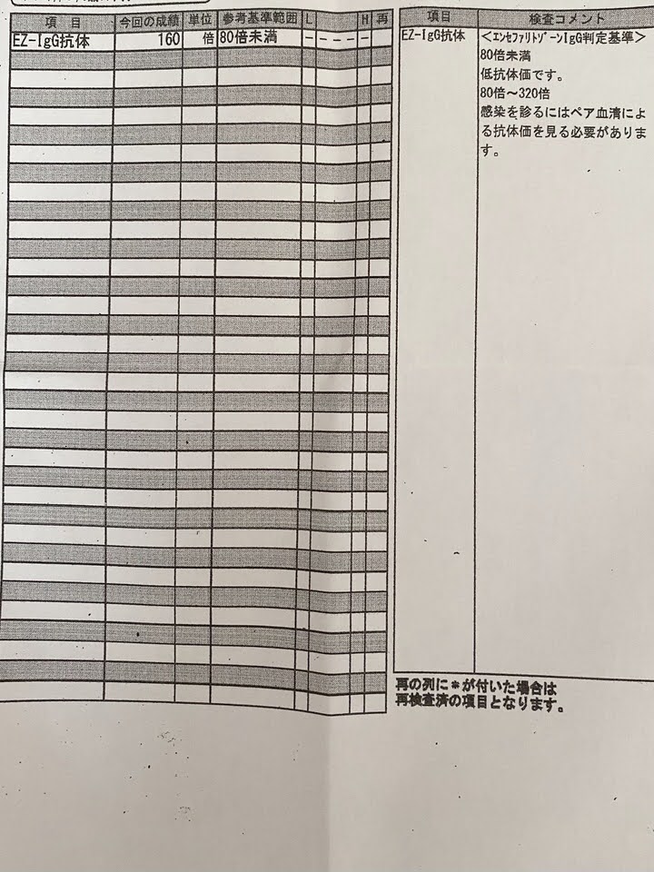 エンセファリトゾーン抗体検査結果