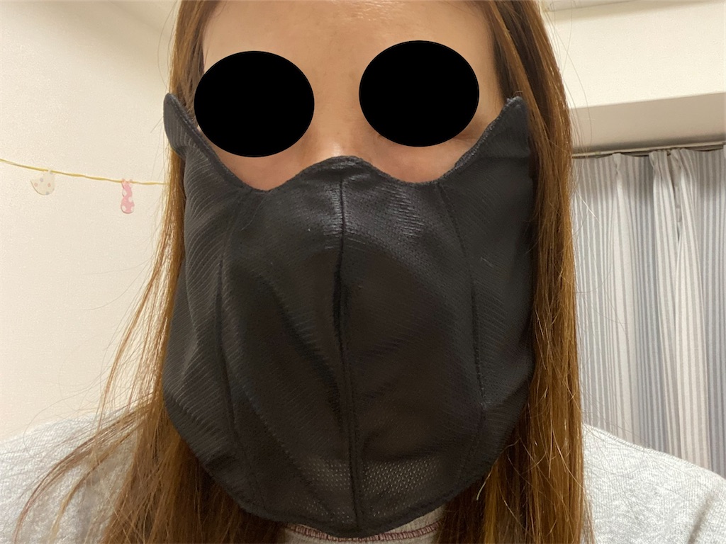 f:id:usagitonokurashi:20230323134411j:image