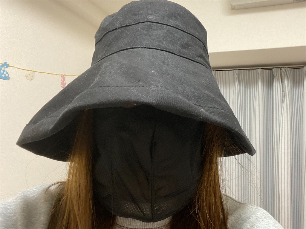 f:id:usagitonokurashi:20230323134414j:image