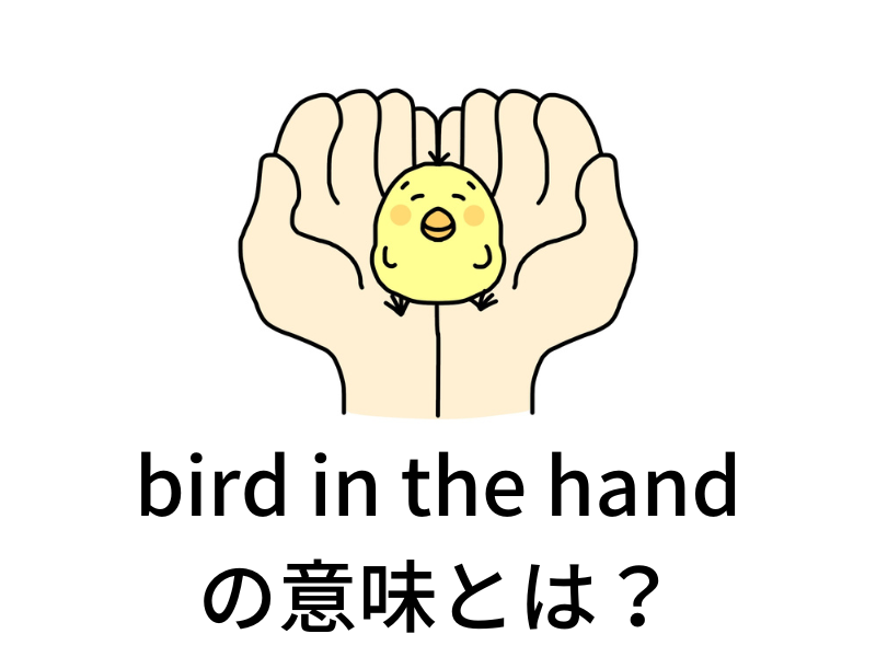 bird in the hand「手の中の鳥」の実際の意味とは？ 海外ドラマオタクの本当に使える英語
