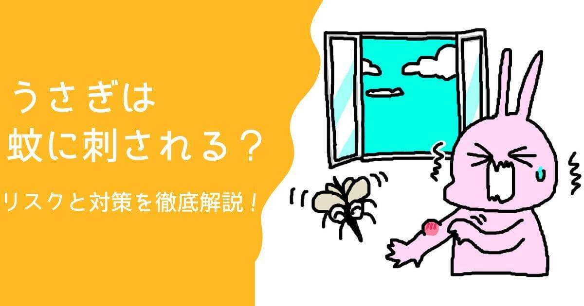 うさぎは蚊に刺される？リスクと対策を徹底解説！