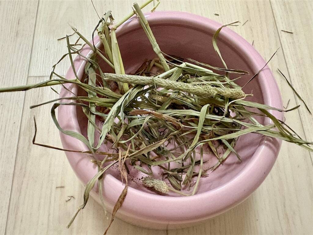 f:id:usagitonokurashi:20241025194013j:image