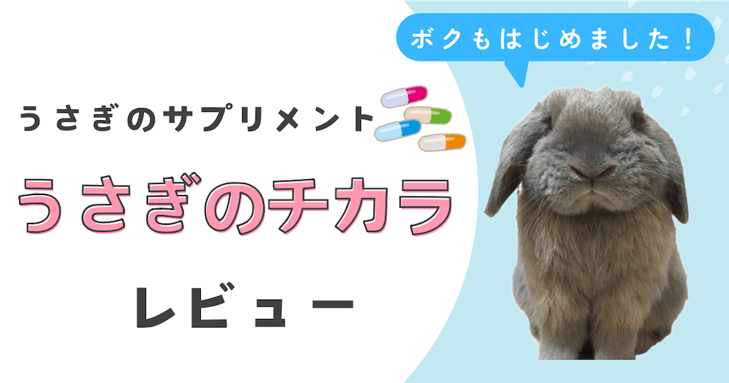 うさぎのサプリ「うさぎのチカラ」始めました！7歳になる愛うさぎの
