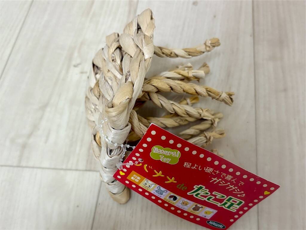 f:id:usagitonokurashi:20250213140617j:image