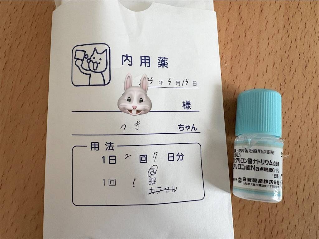 f:id:usagitonokurashi:20250515180956j:image