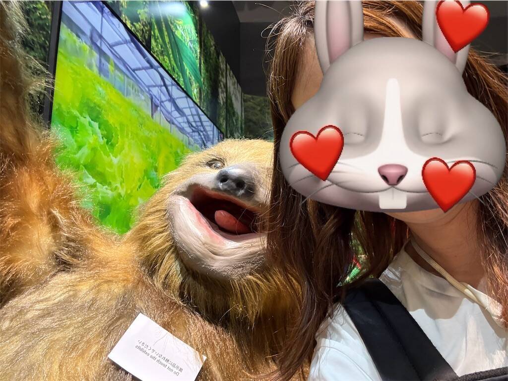 f:id:usagitonokurashi:20250717180458j:image
