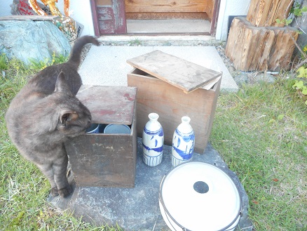 f:id:usagiyakun:20191220144141j:plain