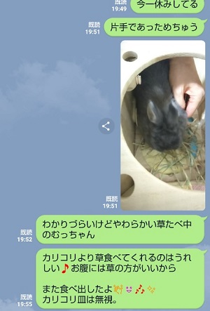 f:id:usahouse:20181229081227j:plain