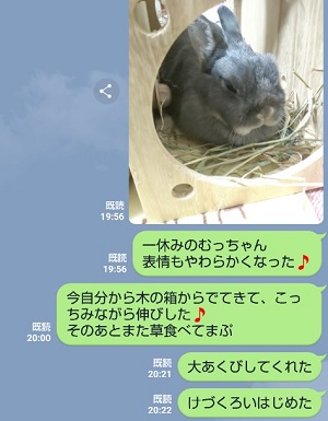 f:id:usahouse:20181229081553j:plain