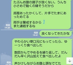 f:id:usahouse:20181229130142j:plain