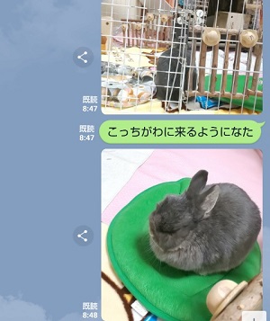 f:id:usahouse:20181229130559j:plain
