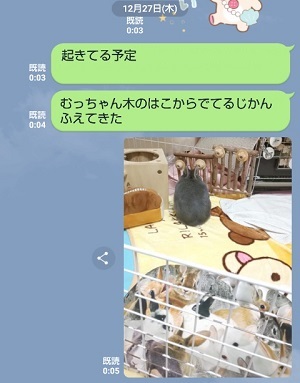 f:id:usahouse:20181229130647j:plain