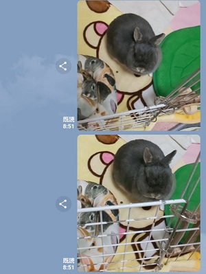 f:id:usahouse:20181229131147j:plain