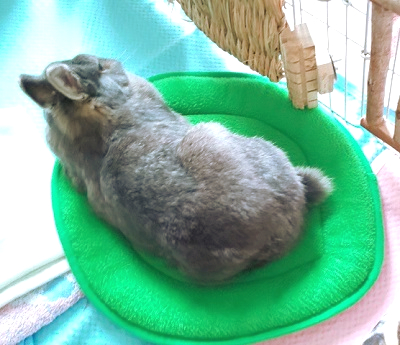 f:id:usahouse:20190908021145j:plain