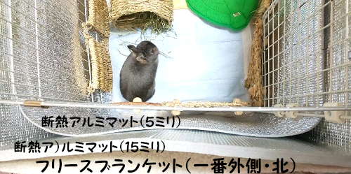 f:id:usahouse:20191121222337j:plain