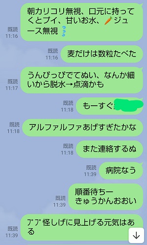 f:id:usahouse:20211223143629j:plain