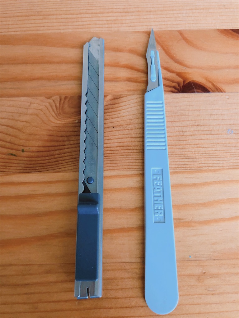 f:id:usaketsu:20200328115341j:image