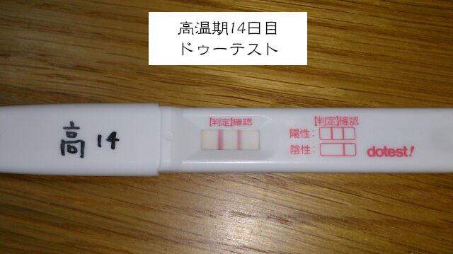 妊娠検査薬のフライング